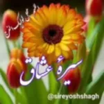 کانال ایتا 🏴 سیـــرهٔ عشـــ🌸ـــاق 🏴