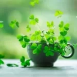 کانال ایتا آرامش درون🍃 کانال ایتا آرامش درون🍃