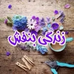 کانال روبیکا زندگی بنفش